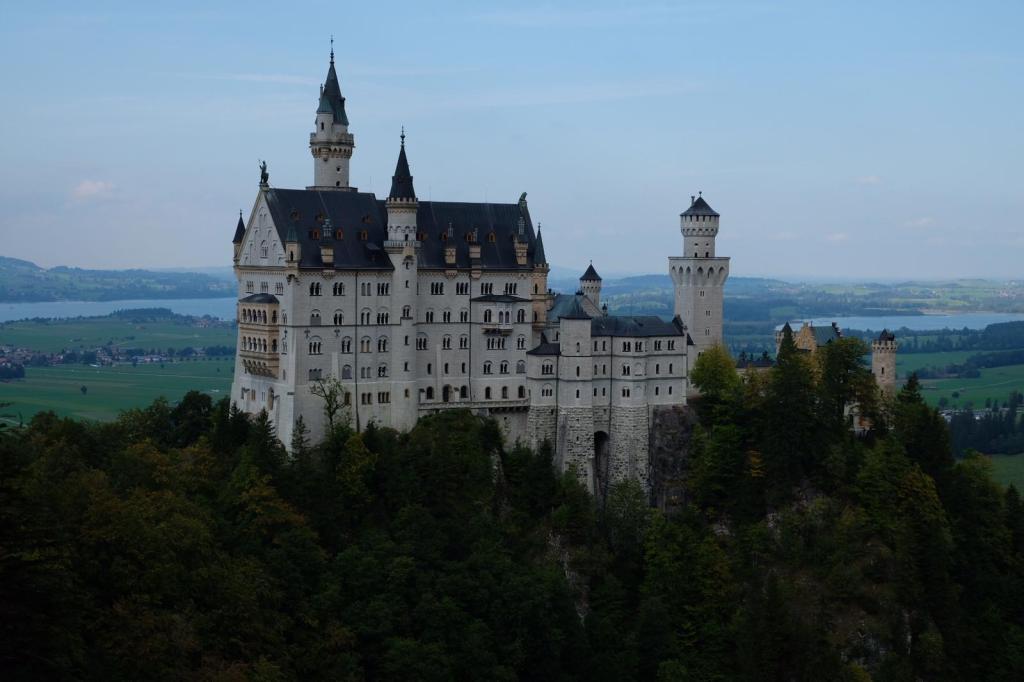 My Lookback on&nbsp;2020