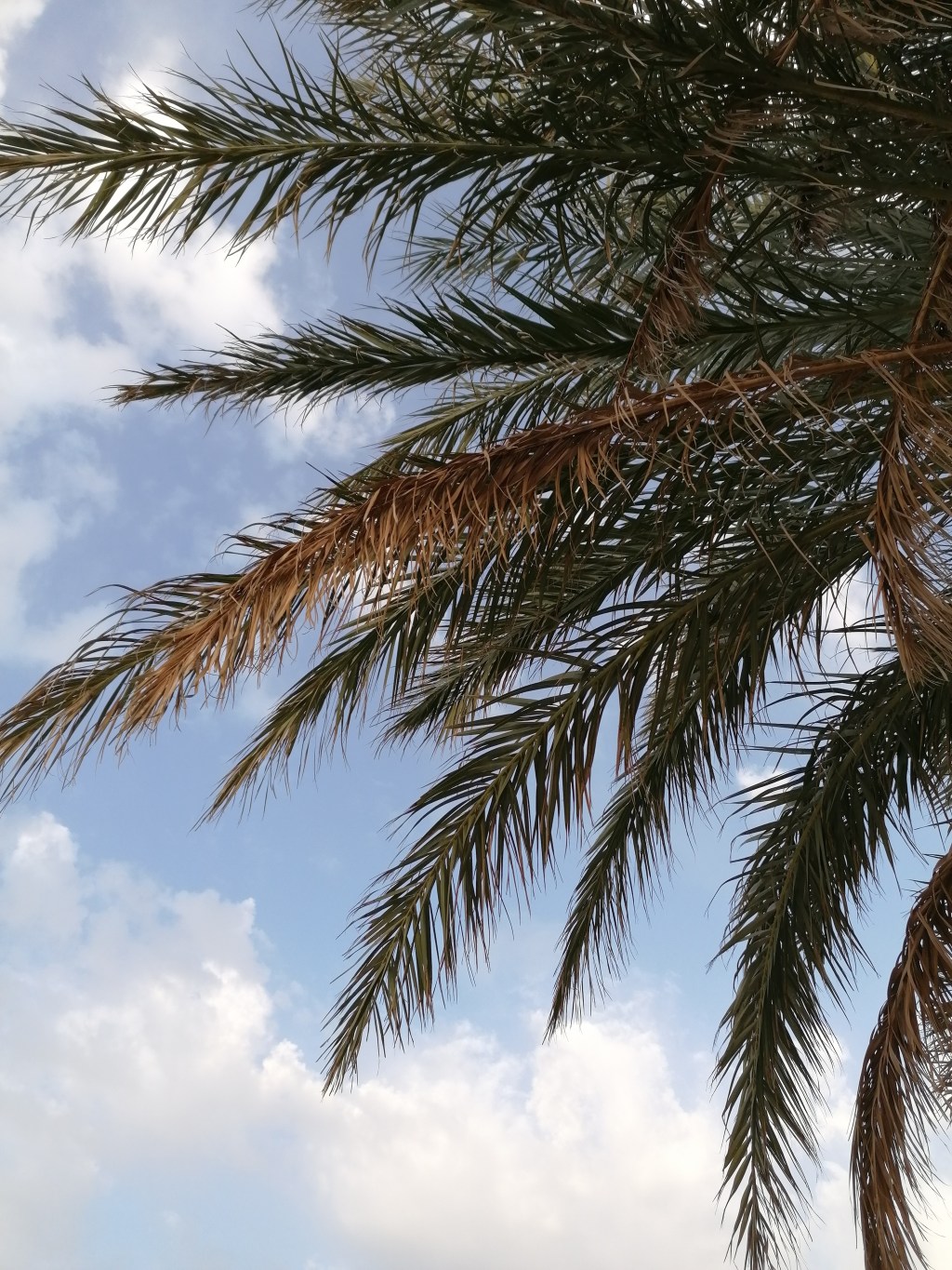 My Lookback on&nbsp;2021